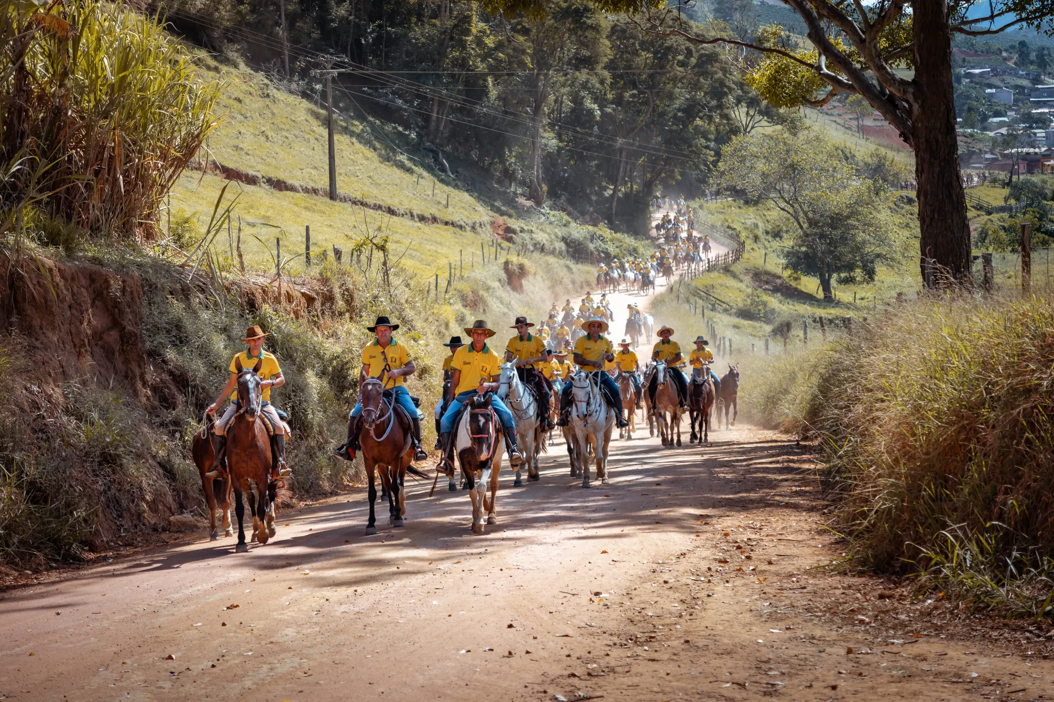 Cavalgada