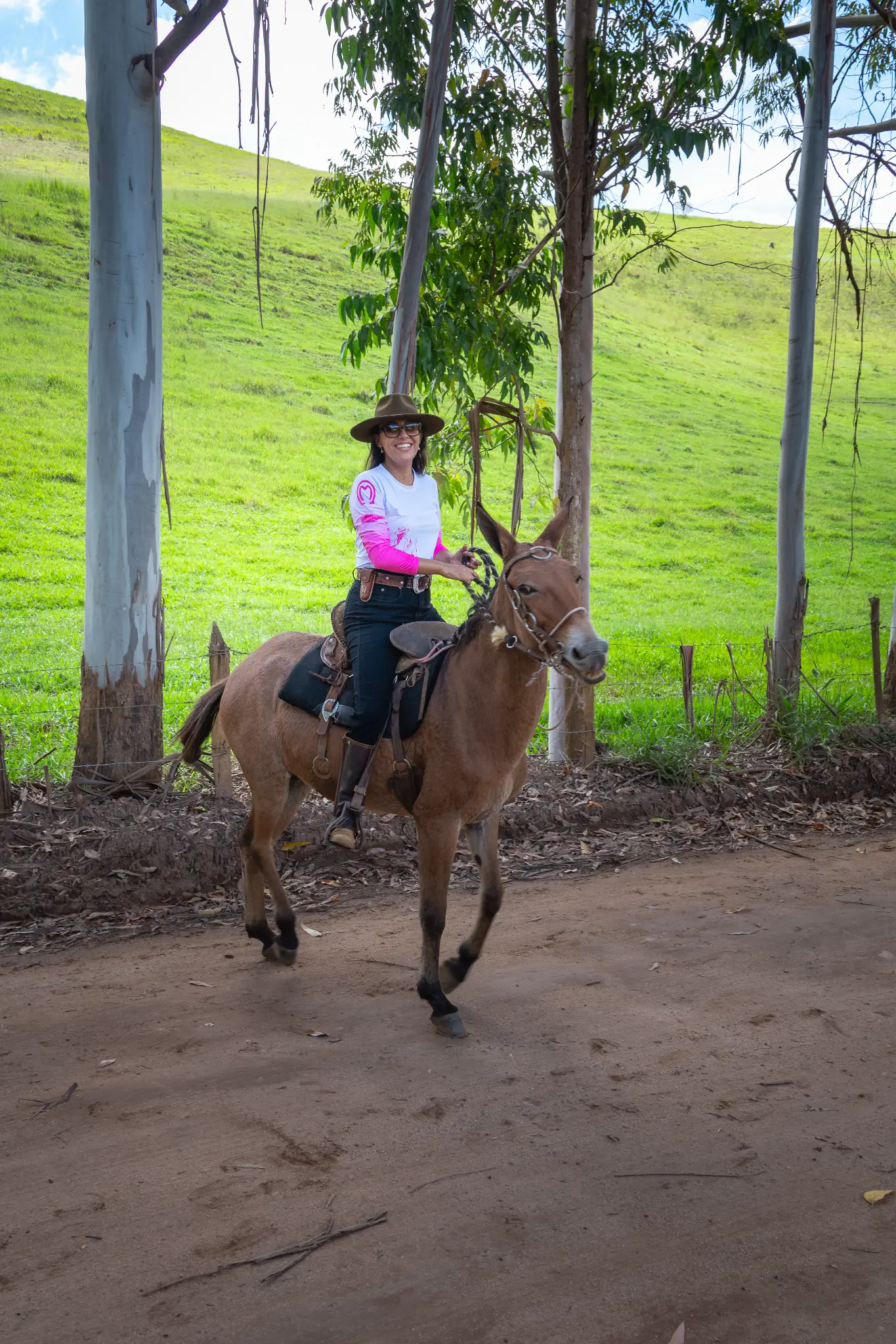 Cavalgada